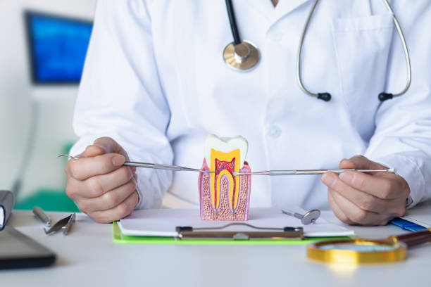 Best Mobile Emergency Dentist in Monessen, PA